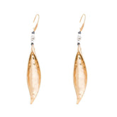 Ohrring - Seemuschel - Fox by Ren